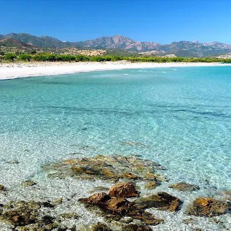 - Mar Dei Coralli *